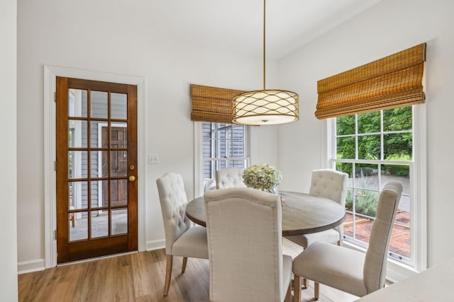 907 Paddock Park, Nashville, TN 37220 - dining room featuring wood finished floors and baseboards