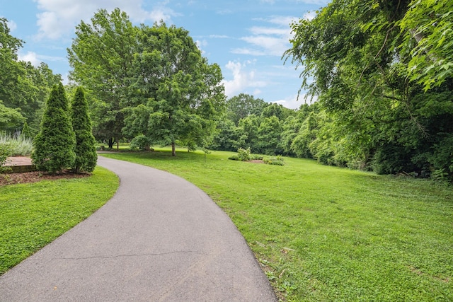907 Paddock Park, Nashville, TN 37220 - surrounding community with a yard and asphalt driveway