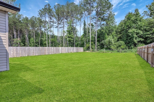 3128 Crow Rd NE, Dalton, GA 30721 - view of yard
