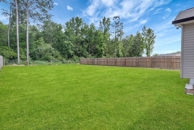 3128 Crow Rd NE, Dalton, GA 30721 - view of yard