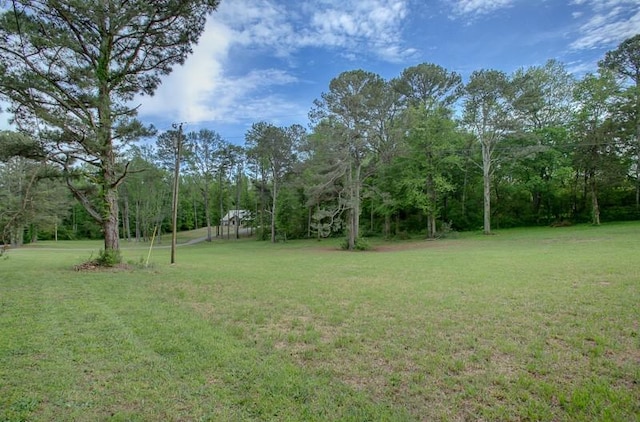 136 Anderson Dr, Guntersville, AL 35976 - photo 50