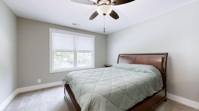 394 Martha Ln, Clarksville, TN 37043 - photo 14