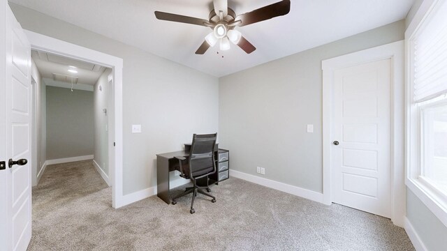 394 Martha Ln, Clarksville, TN 37043 - photo 22