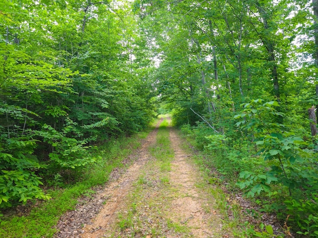 152 Cascade Spring Rd, Hohenwald, TN 38462