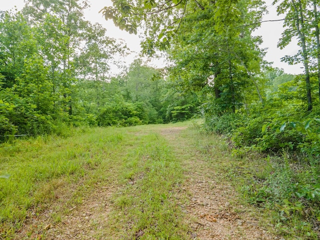 152 Cascade Spring Rd, Hohenwald, TN 38462