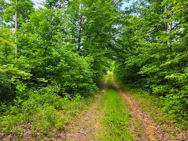152 Cascade Spring Rd, Hohenwald, TN 38462