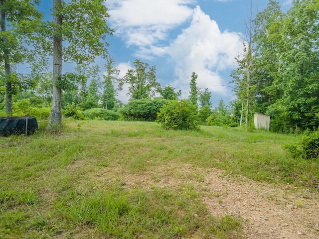 152 Cascade Spring Rd, Hohenwald, TN 38462