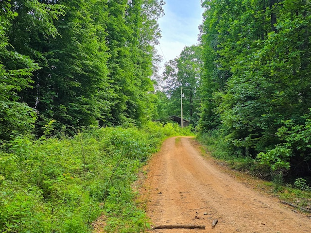 152 Cascade Spring Rd, Hohenwald, TN 38462
