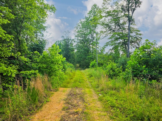 152 Cascade Spring Rd, Hohenwald, TN 38462