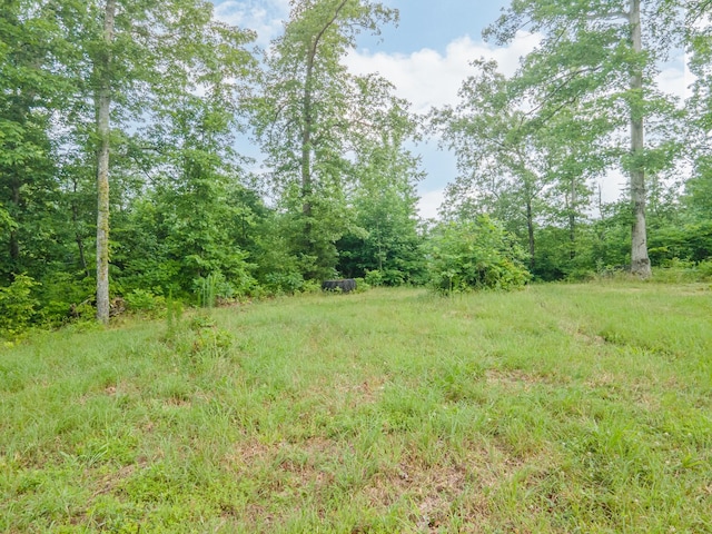 152 Cascade Spring Rd, Hohenwald, TN 38462