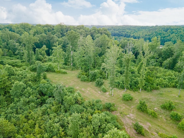 152 Cascade Spring Rd, Hohenwald, TN 38462