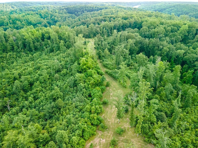 152 Cascade Spring Rd, Hohenwald, TN 38462