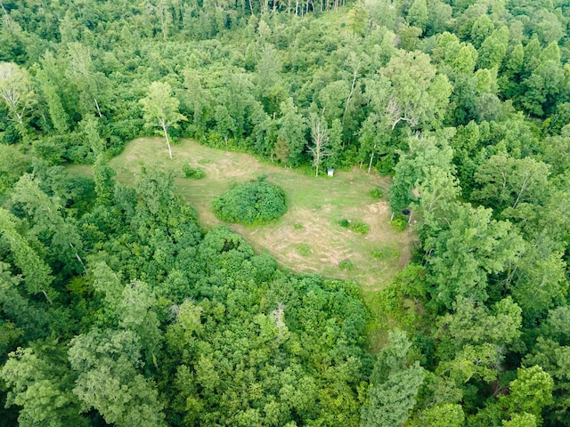 152 Cascade Spring Rd, Hohenwald, TN 38462