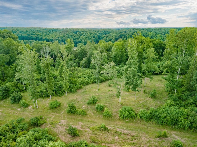 152 Cascade Spring Rd, Hohenwald, TN 38462