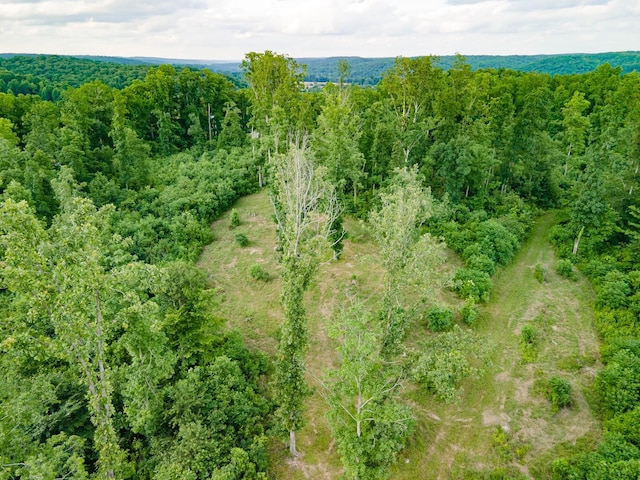 152 Cascade Spring Rd, Hohenwald, TN 38462