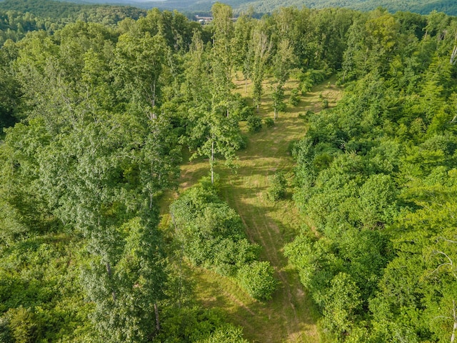 152 Cascade Spring Rd, Hohenwald, TN 38462