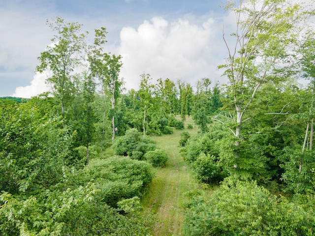 152 Cascade Spring Rd, Hohenwald, TN 38462