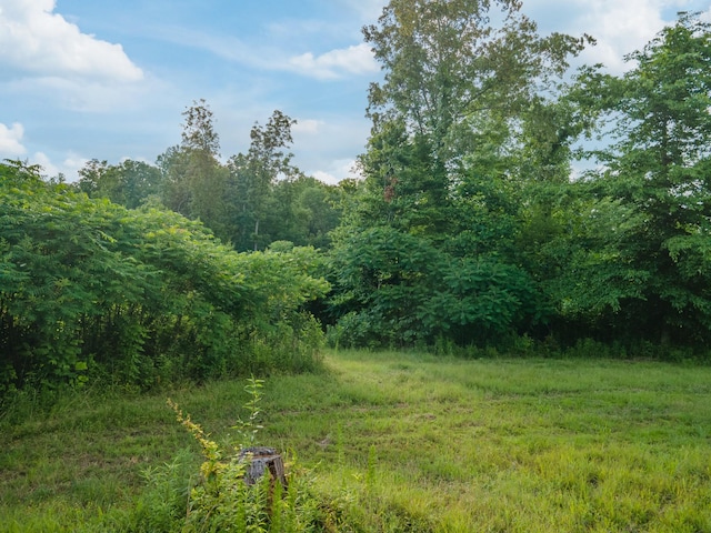 152 Cascade Spring Rd, Hohenwald, TN 38462