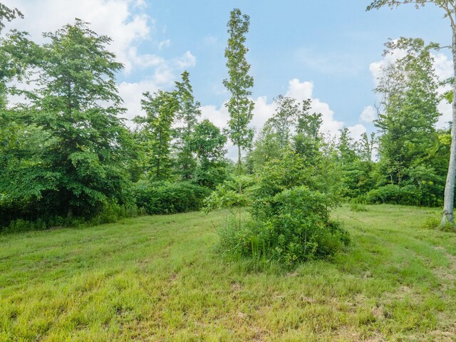 152 Cascade Spring Rd, Hohenwald, TN 38462