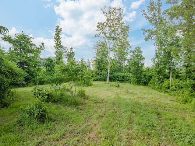 152 Cascade Spring Rd, Hohenwald, TN 38462