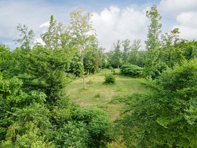 152 Cascade Spring Rd, Hohenwald, TN 38462