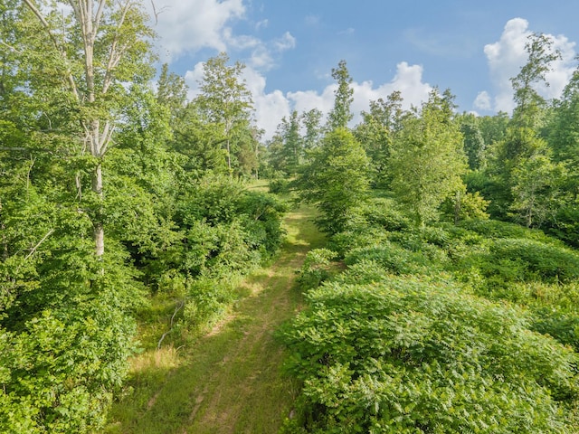 152 Cascade Spring Rd, Hohenwald, TN 38462