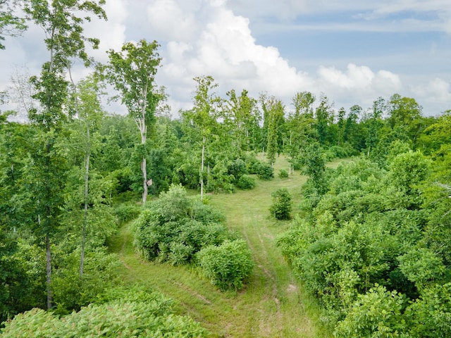 152 Cascade Spring Rd, Hohenwald, TN 38462