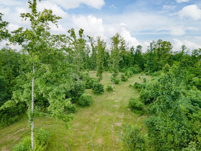 152 Cascade Spring Rd, Hohenwald, TN 38462