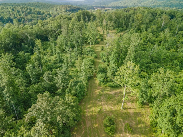 152 Cascade Spring Rd, Hohenwald, TN 38462