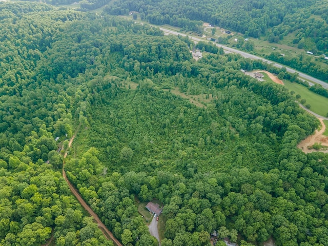 152 Cascade Spring Rd, Hohenwald, TN 38462
