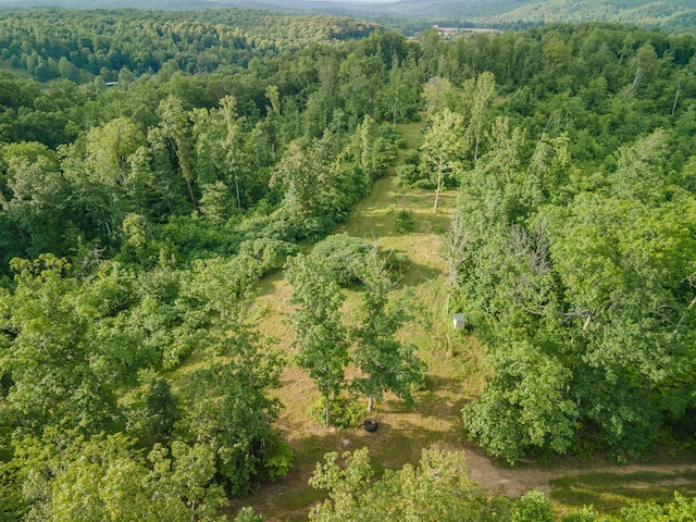152 Cascade Spring Rd, Hohenwald, TN 38462