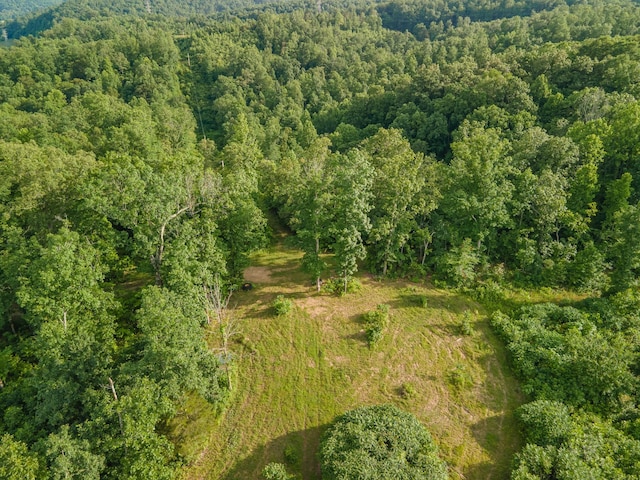 152 Cascade Spring Rd, Hohenwald, TN 38462