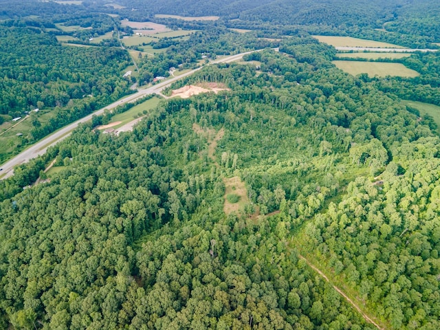 152 Cascade Spring Rd, Hohenwald, TN 38462