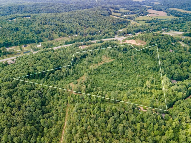 152 Cascade Spring Rd, Hohenwald, TN 38462