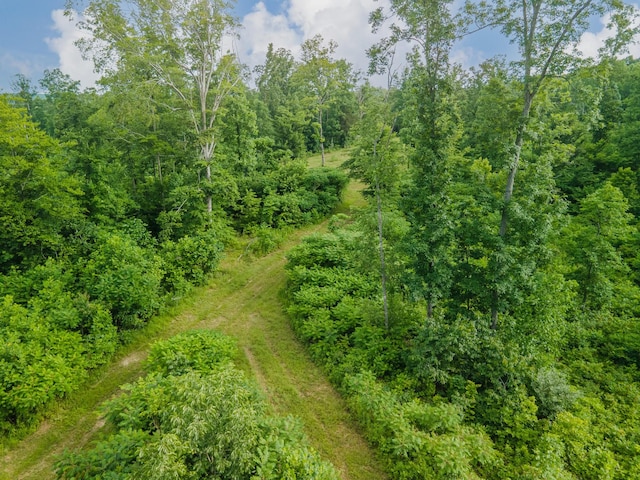 152 Cascade Spring Rd, Hohenwald, TN 38462