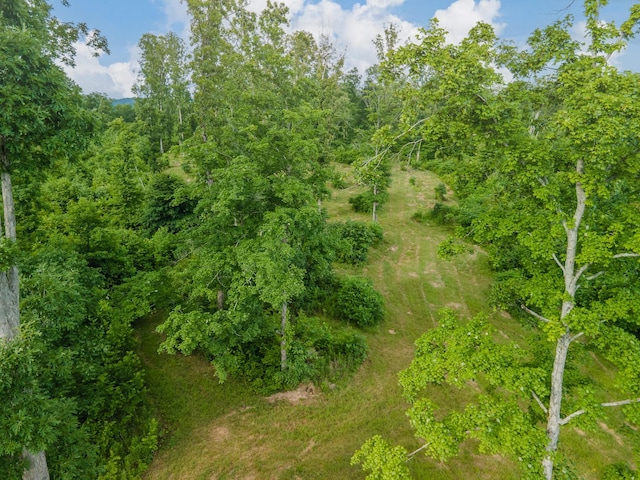 152 Cascade Spring Rd, Hohenwald, TN 38462