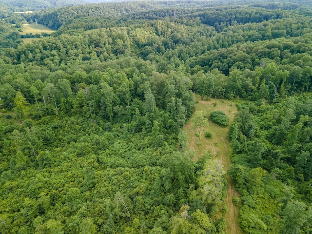 152 Cascade Spring Rd, Hohenwald, TN 38462