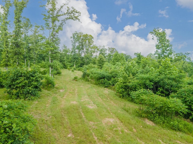 152 Cascade Spring Rd, Hohenwald, TN 38462