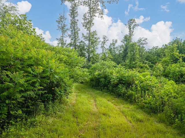 152 Cascade Spring Rd, Hohenwald, TN 38462