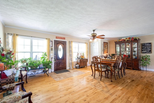222 Bennie Camp Rd, Dunlap, TN 37327 - dining area with light wood-style floors, a textured ceiling, ornamental molding, ceiling fan, and baseboards
