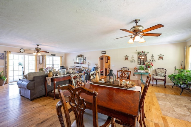222 Bennie Camp Rd, Dunlap, TN 37327 - dining room with a ceiling fan, a textured ceiling, light wood-style flooring, and crown molding