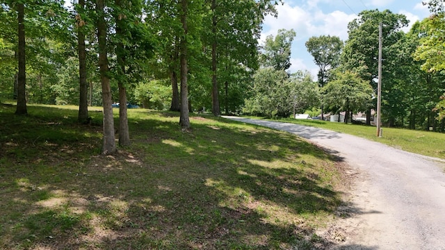 222 Bennie Camp Rd, Dunlap, TN 37327 - surrounding community featuring a yard