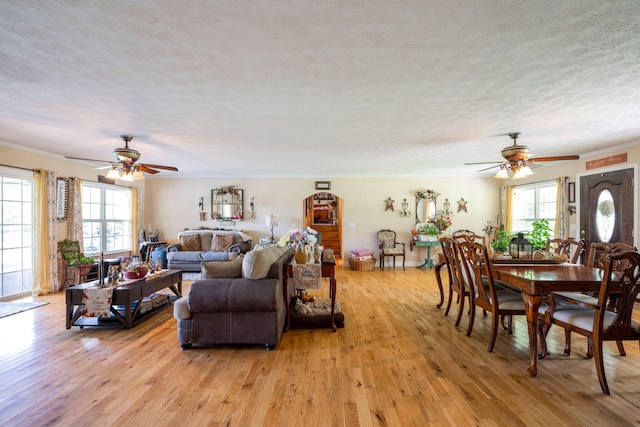 222 Bennie Camp Rd, Dunlap, TN 37327 - living area with a ceiling fan, healthy amount of natural light, a textured ceiling, and light wood-style floors