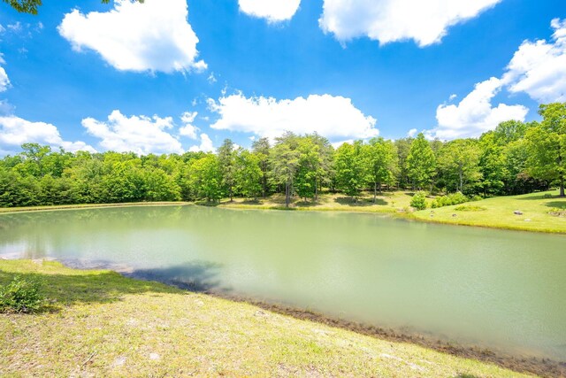 222 Bennie Camp Rd, Dunlap, TN 37327 - water view