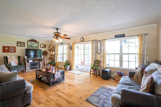 222 Bennie Camp Rd, Dunlap, TN 37327 - living area featuring ornamental molding, a ceiling fan, light wood-style flooring, and a fireplace