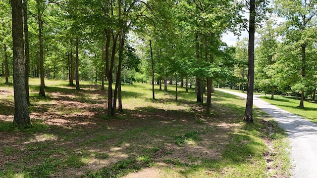 222 Bennie Camp Rd, Dunlap, TN 37327 - view of local wilderness