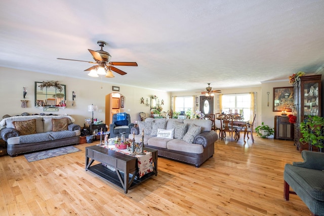 222 Bennie Camp Rd, Dunlap, TN 37327 - living room with a ceiling fan, light wood-type flooring, and arched walkways