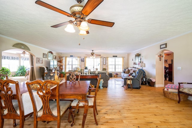 222 Bennie Camp Rd, Dunlap, TN 37327 - dining room with arched walkways, ceiling fan, a textured ceiling, ornamental molding, and light wood-style floors