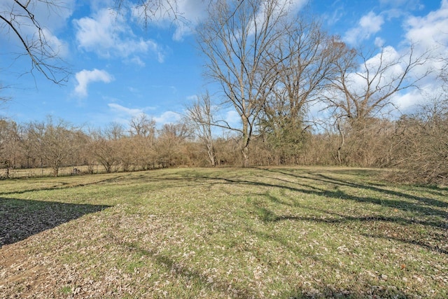 806 Drummond Dr, Nashville, TN 37211 - view of green lawn featuring a forest view