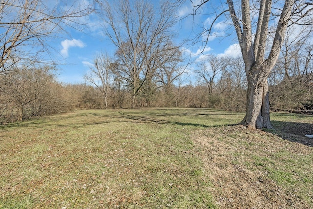 806 Drummond Dr, Nashville, TN 37211 - view of grassy yard featuring a wooded view